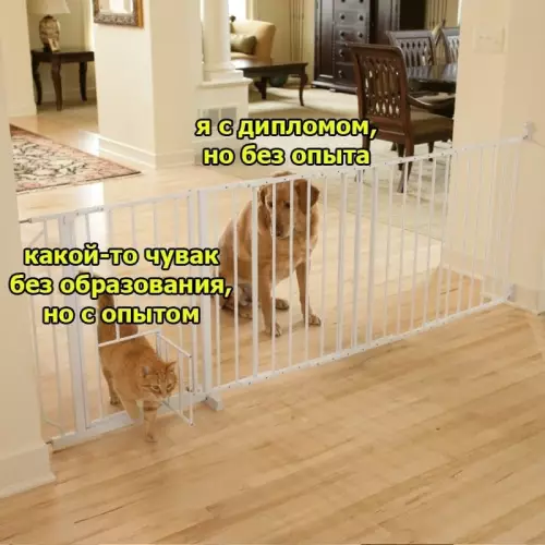 Смешная картинка №793081