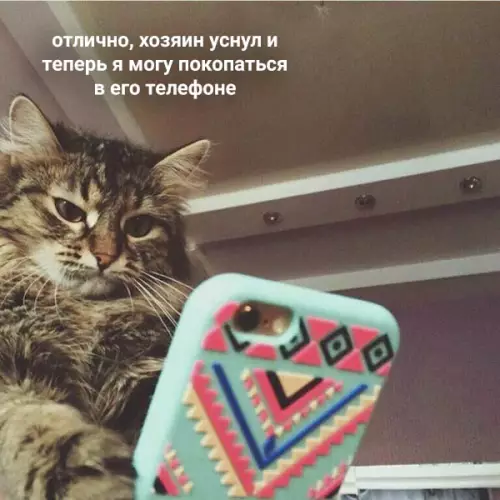 Смешная картинка №483854 Не оставляйте ваши телефоны без присмотра