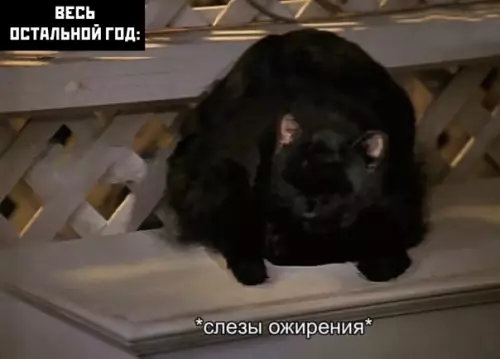 продолжение Смешная картинка №559946 Грустно, но вкусно