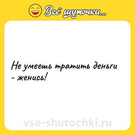 Шутка: Не умеешь тратить деньги - женись!