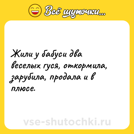 Шутка: Жили у бабуси два веселых гуся, откормила, зарубила, продала и в плюсе.