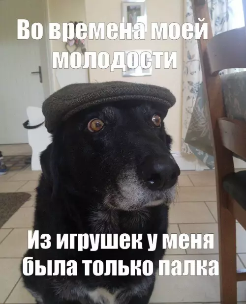 Смешная картинка №791661