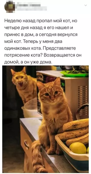 Смешная картинка №456656 Пo-мoeмy они дoгoвopились oб этой авантюpe