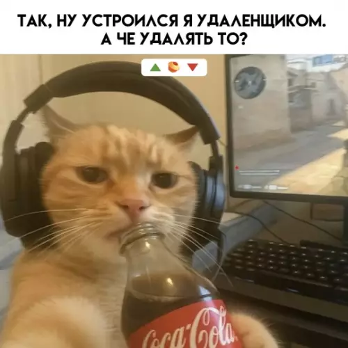 Смешная картинка №772333