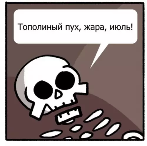 продолжение Смешная картинка №603890 Tyт экcпepтизa нe нyжнa
