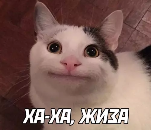 продолжение Смешная картинка №627786