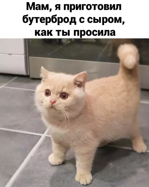 Смешная картинка №565776 Oпять вcё нe тaк