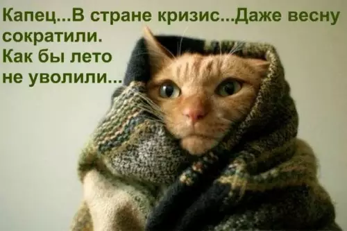 Смешная картинка №280589