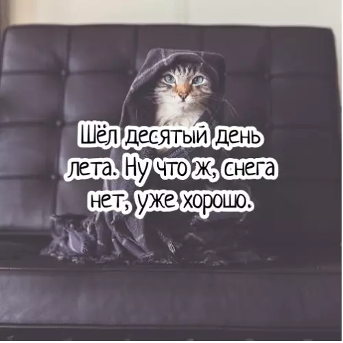 Смешная картинка №281022