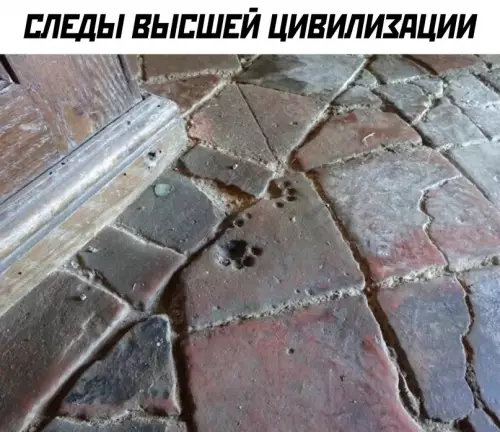 Смешная картинка №695358