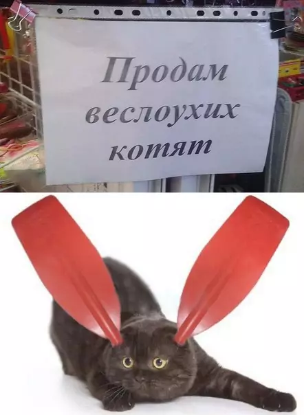 Смешная картинка №280497