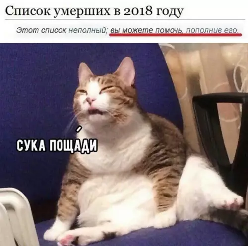 Смешная картинка №321682