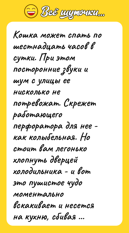 Кошка может спать по шестнадцать часов в сутки. При этом