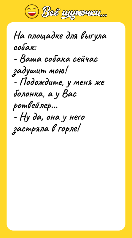 На площадке для выгула собак: - Ваша собака сейчас задушит