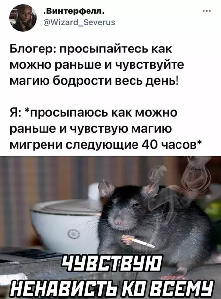 Смешная картинка №572636