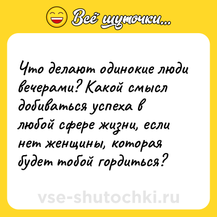Шутка: Что делают одинокие люди вечерами? Какой смысл добиваться успеха в любой сфере жизни, если нет женщины, которая будет тобой гордиться?