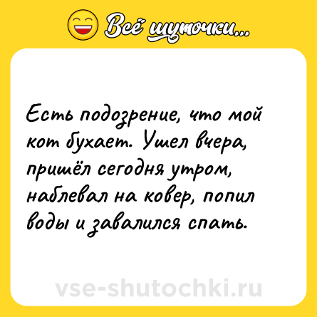 Шутка: Есть подозрение, что мой кот бухает. Ушел вчера, пришёл сегодня утром, наблевал на ковер, попил воды и завалился спать.