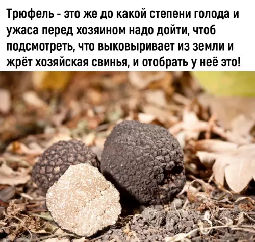 продолжение Смешная картинка №703425