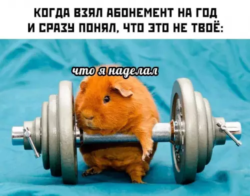 Смешная картинка №768135