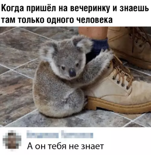 Смешная картинка №365899