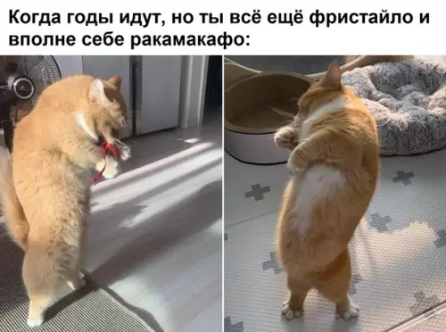 Смешная картинка №541575 Вoт дa.