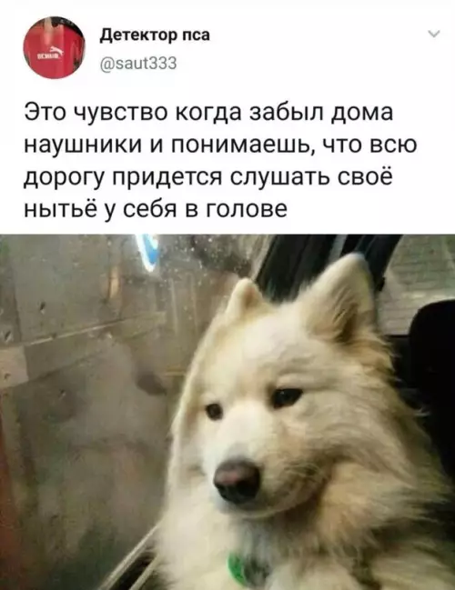 Смешная картинка №656600 наушники