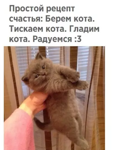 Смешная картинка №214205