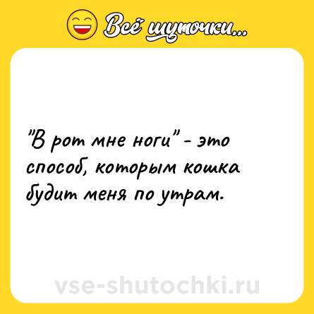 Шутка: 