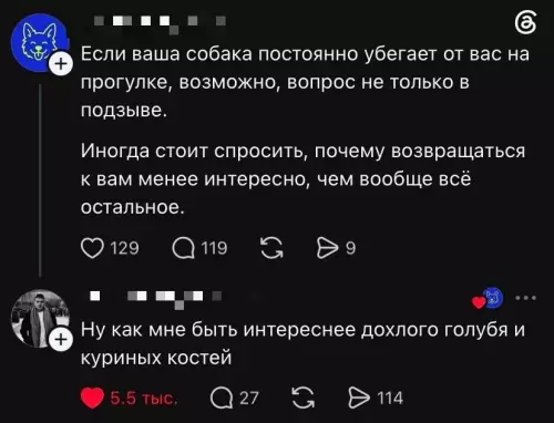 Почему собаки нас игнорят? 🤔🐶 - Если ваша собака постоянно убегает от вас на прогулке, возможно,