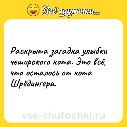 Шутка: Раскрыта загадка улыбки чеширского кота. Это всё, что осталось от кота Шрёдингера.