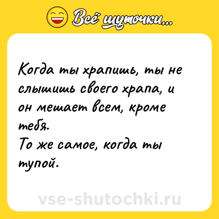 Шутка: Когда ты храпишь, ты не слышишь своего храпа, и он мешает всем, кроме тебя. <br>То же самое, когда ты тупой.