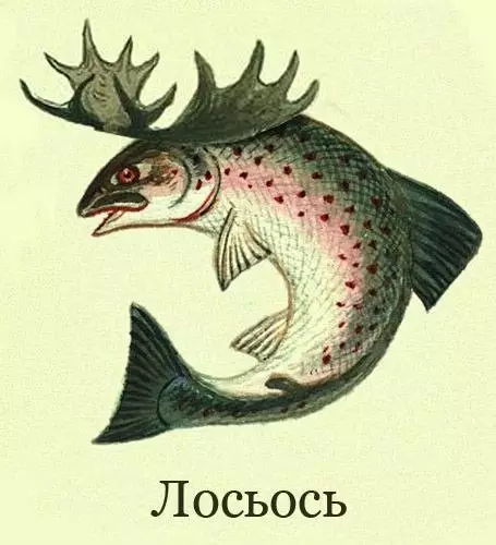 Смешная картинка №665937 Лосьось