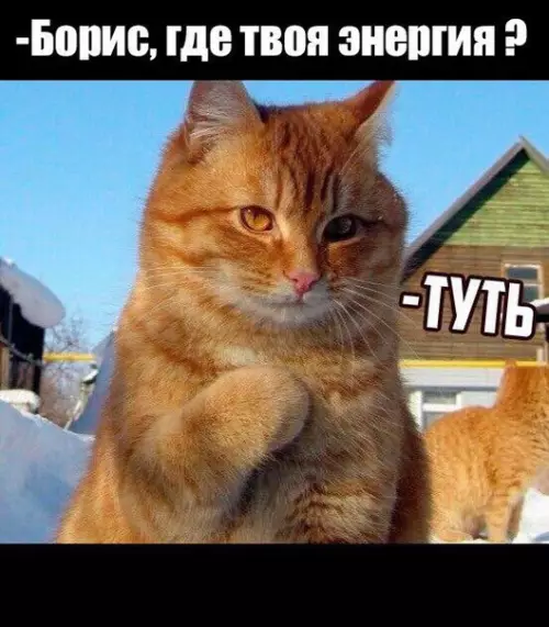 Смешная картинка №179834