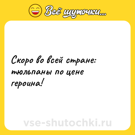 Шутка: Скоро во всей стране: тюльпаны по цене героина!