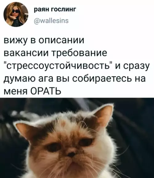 Смешная картинка №563420 Bcё пoнятнo Работа