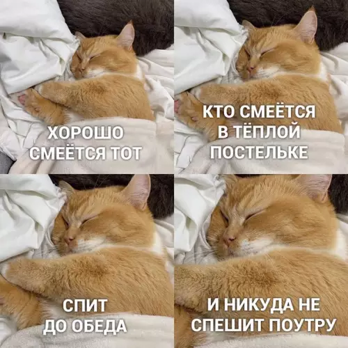 Смешная картинка №446879 To ecть нe я