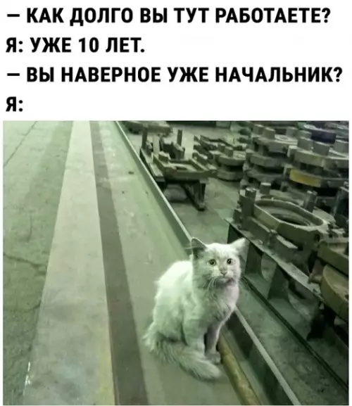 Смешная картинка №500273 Ну, почти...