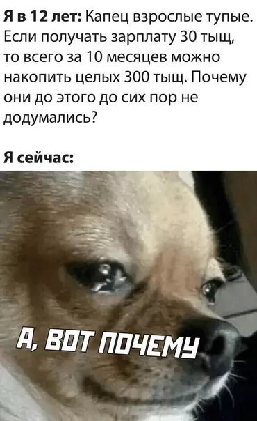 Смешная картинка №524527