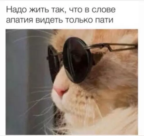 Смешная картинка №759471