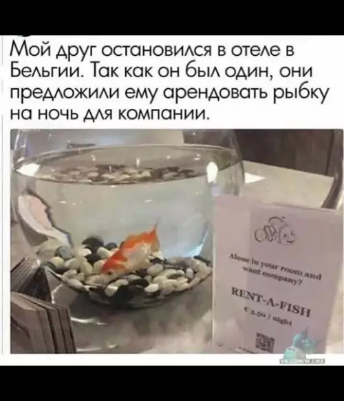 Смешная картинка №358971