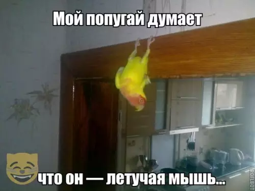 Смешная картинка №349060 #приколы #картинки #мемы ?