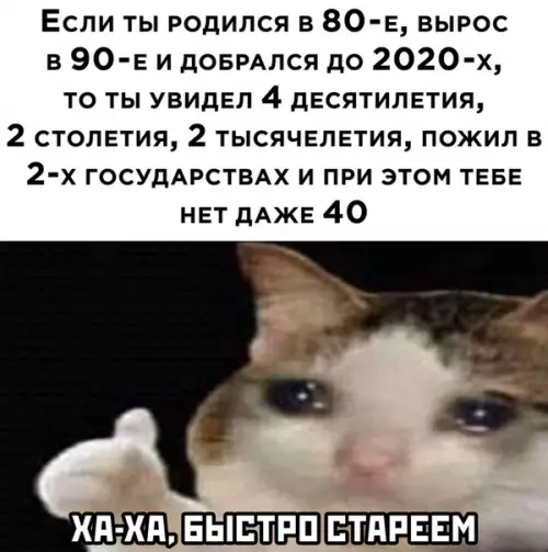 Смешная картинка №511090