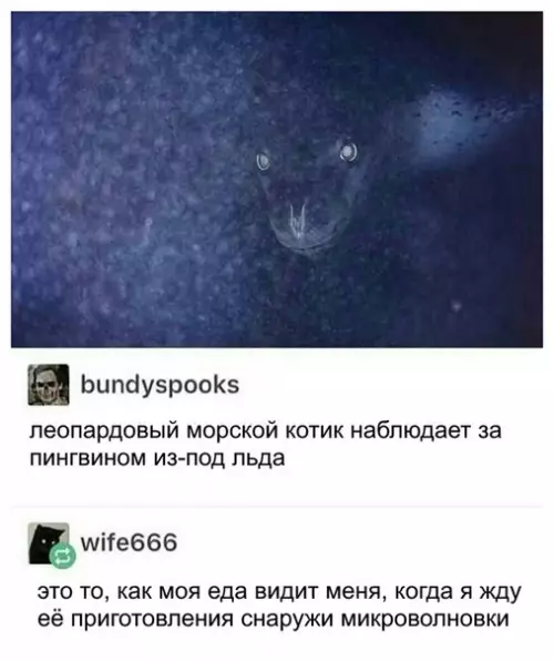 Смешная картинка №336870