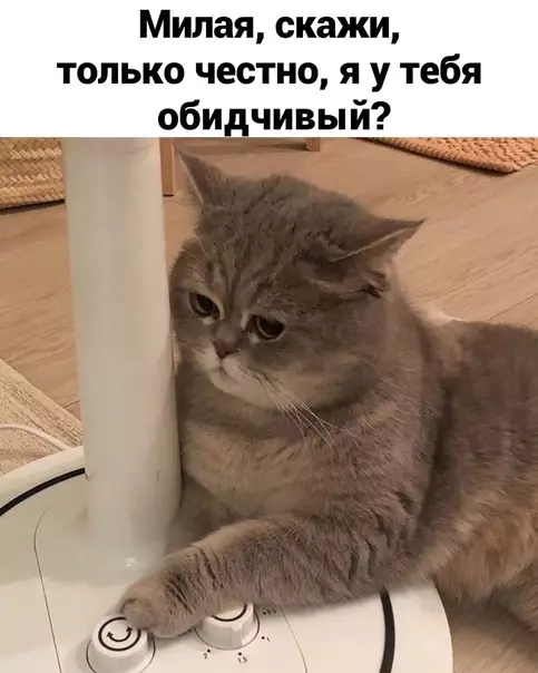 Смешная картинка №577228