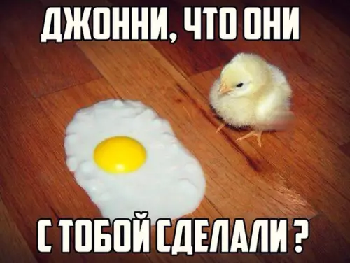 Смешная картинка №179536