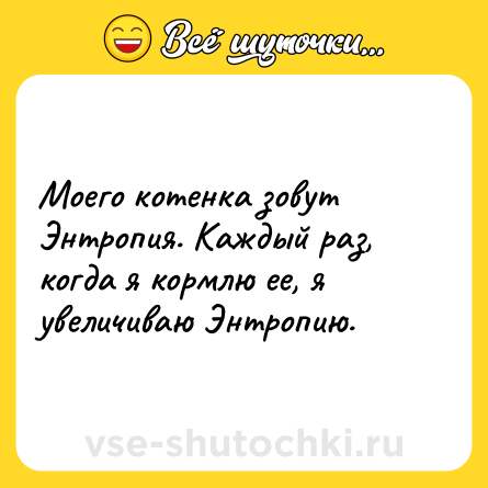 Шутка: Моего котенка зовут Энтропия. Каждый раз, когда я кормлю ее, я увеличиваю Энтропию.
