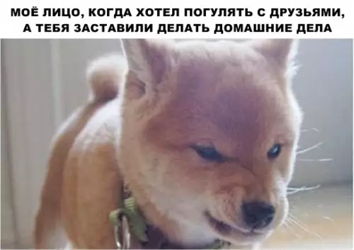 Смешная картинка №288869