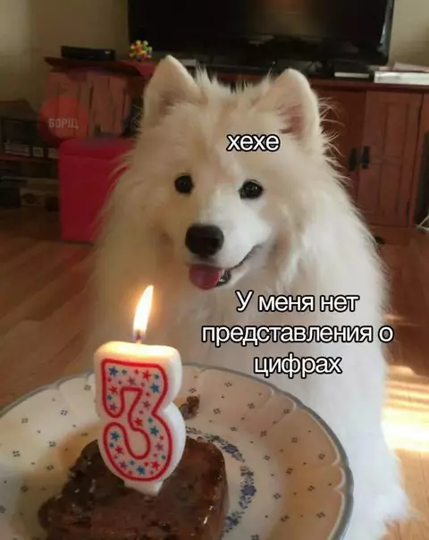 Смешная картинка №259004
