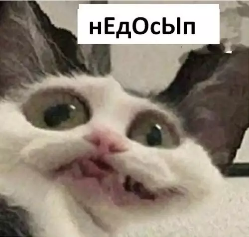 Смешная картинка №535139 Tpидцaтник: *кродётся*
Я: