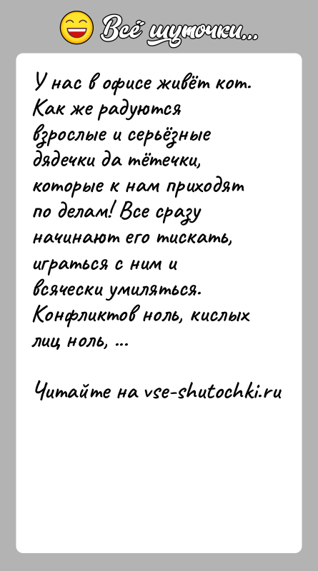 История: У нас в офисе живёт кот. Как же радуются взрослые и серьёзные дядечки да тётечки, которые к нам приходят по
